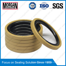 NBR/FKM+PTFE Hydraulic Piston Seal OE Type Rubber Ring